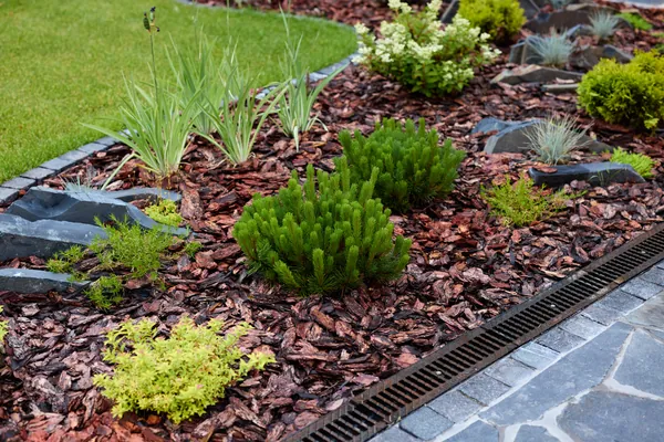 Landscape Maintenance